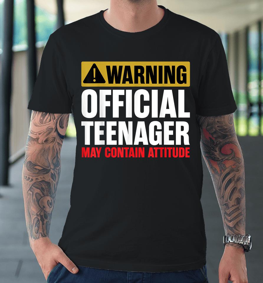 13 Birthday Official Teenager Boy 13Yr Math 13Th Birthday Premium T-Shirt