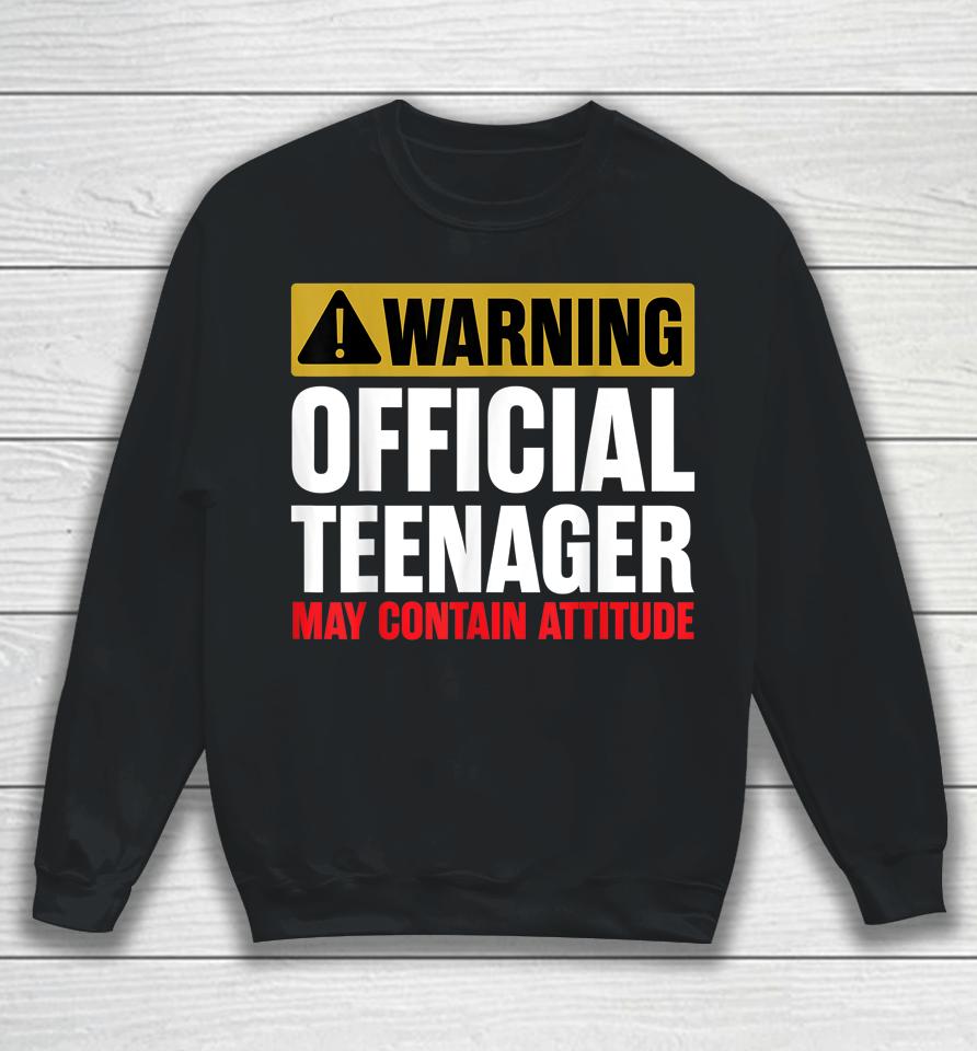 13 Birthday Official Teenager Boy 13Yr Math 13Th Birthday Sweatshirt