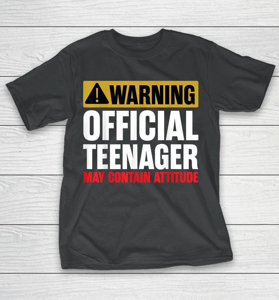13 Birthday Official Teenager Boy 13Yr Math 13Th Birthday T-Shirt