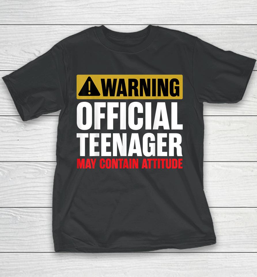 13 Birthday Official Teenager Boy 13Yr Math 13Th Birthday Youth T-Shirt