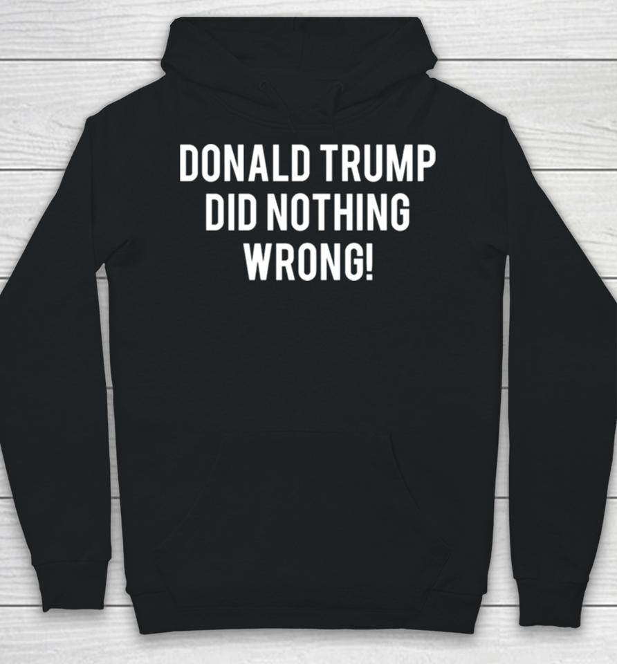 2024 Donald Trump Did Nothing Wrong Hoodie