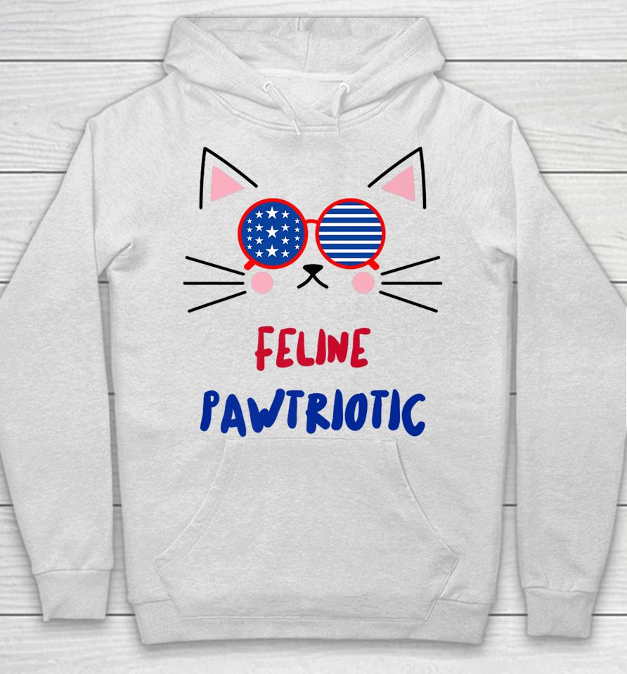 4Th Of July Cat Independence Day Patriot Usa For Cat Lover Hoodie