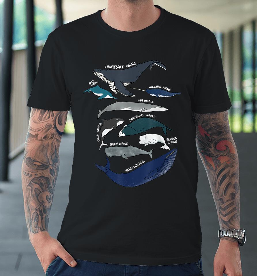 9 Types Of Whales Premium T-Shirt