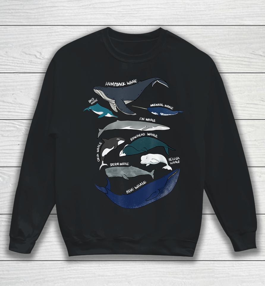 9 Types Of Whales Sweatshirt