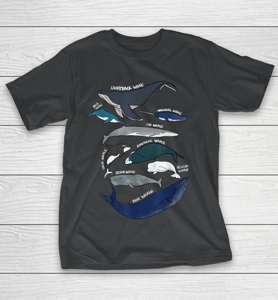 9 Types Of Whales T-Shirt