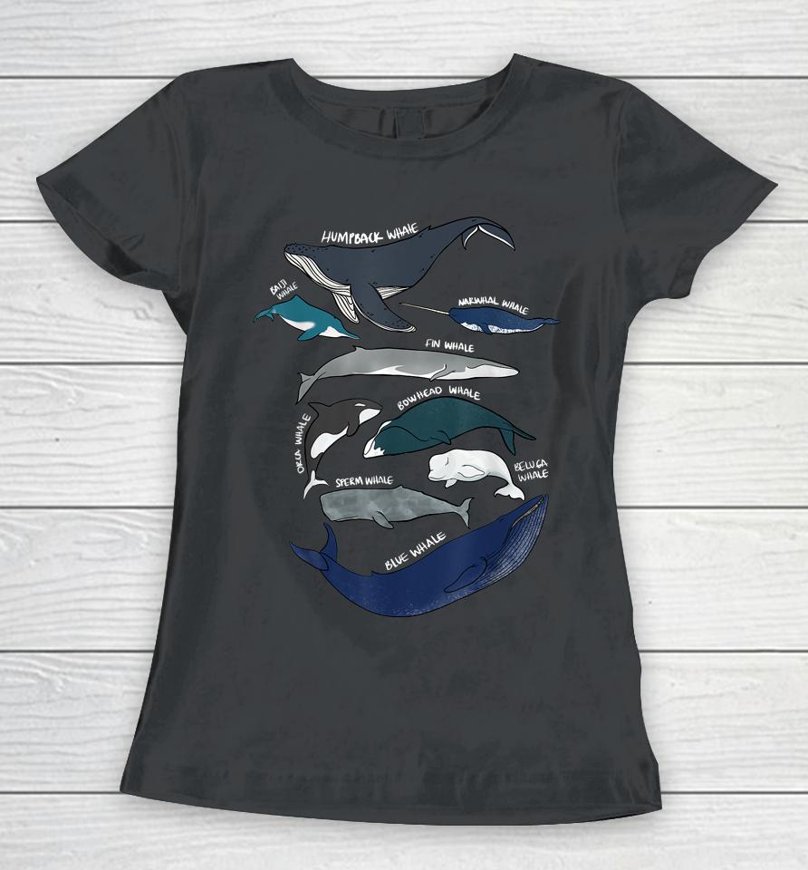 9 Types Of Whales Women T-Shirt