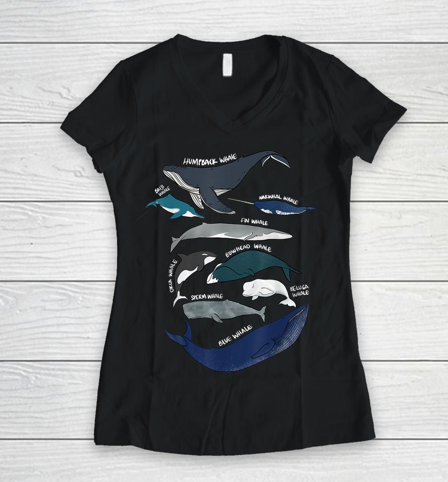 9 Types Of Whales Women V-Neck T-Shirt