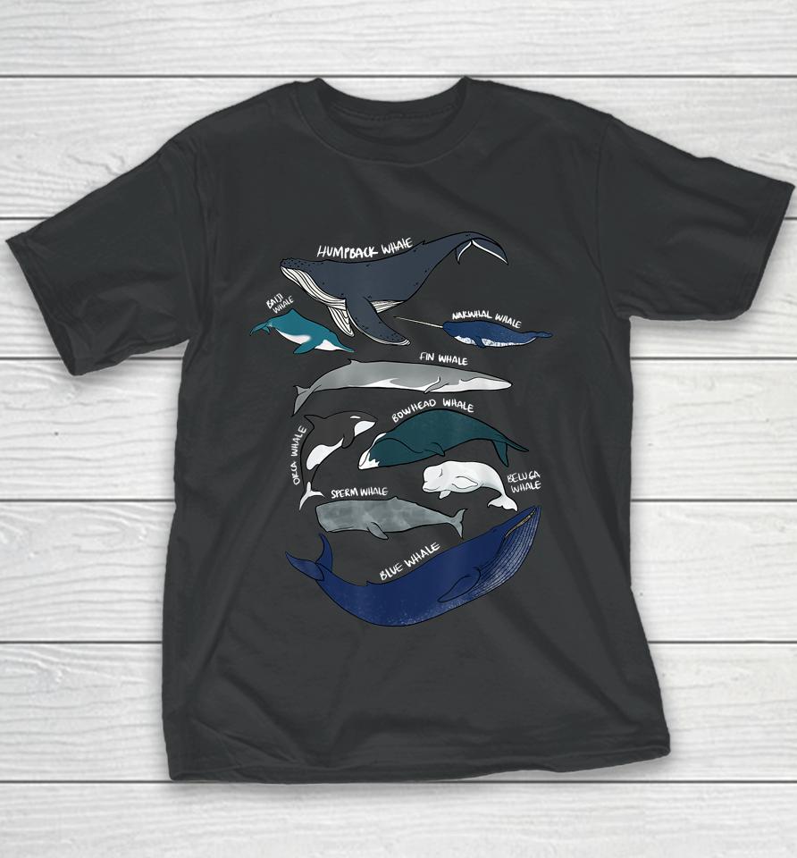 9 Types Of Whales Youth T-Shirt