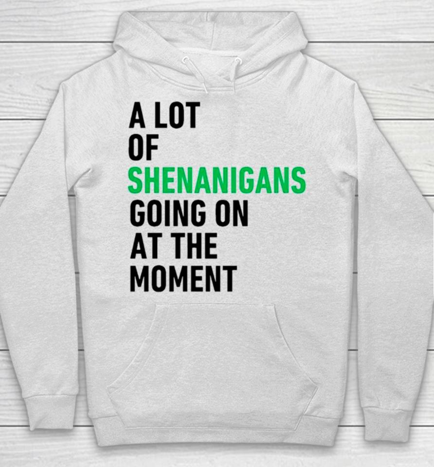 A Lot Of Shenanigans Going On At The Moment Hoodie