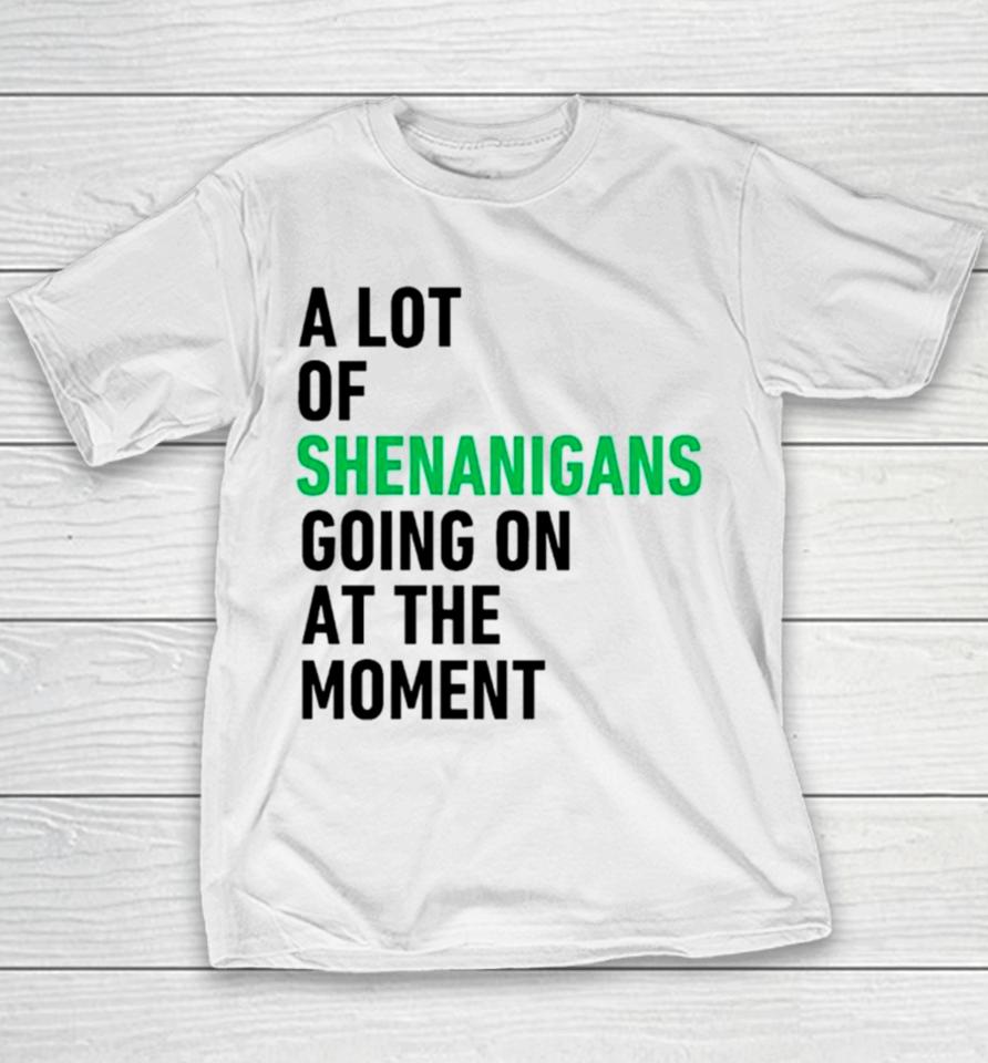 A Lot Of Shenanigans Going On At The Moment Youth T-Shirt