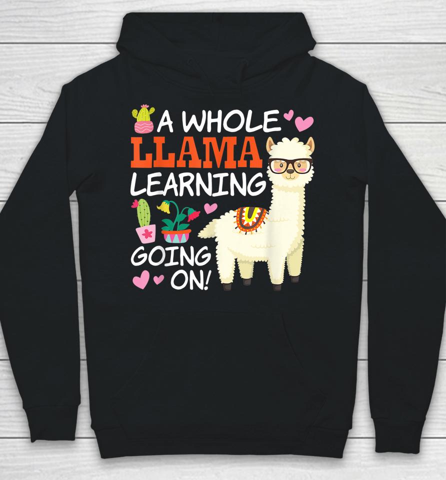 A Whole Llama Learning Going On Teachers Students Alpaca Lovers Gift Hoodie