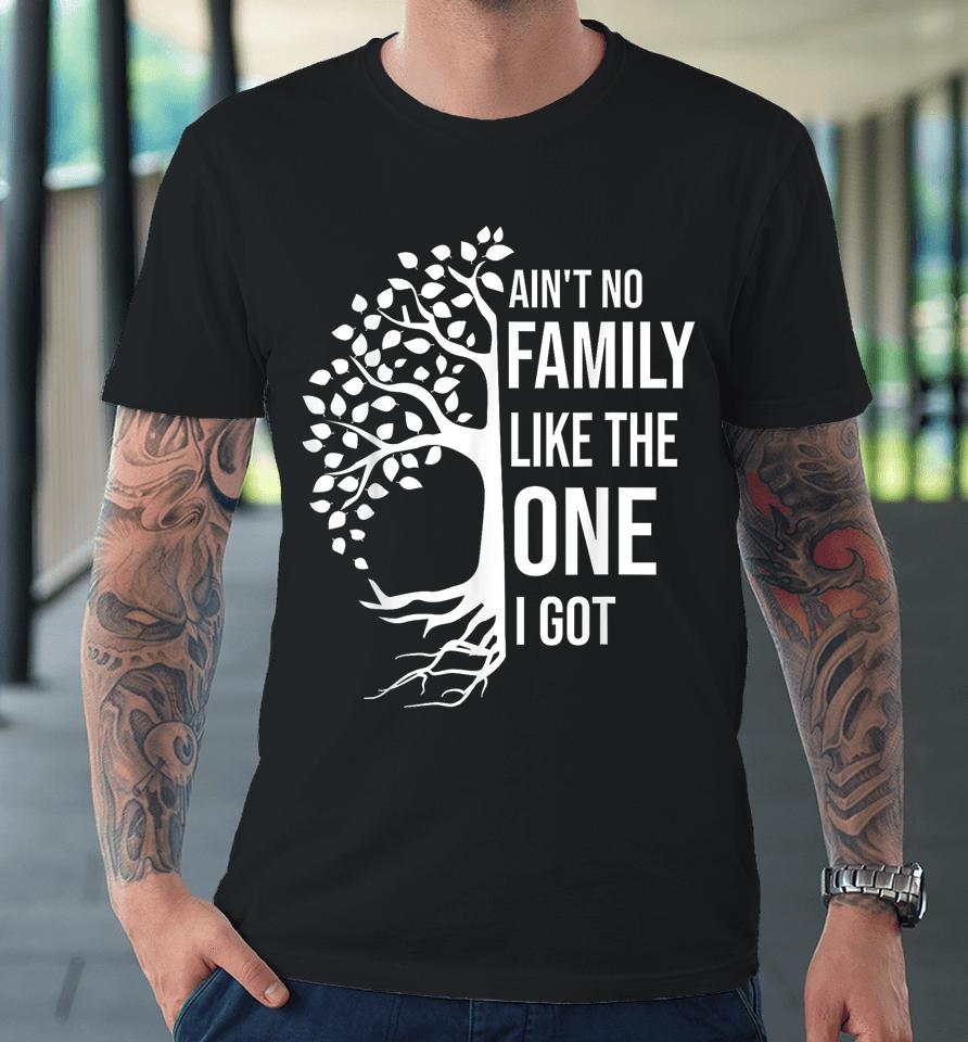 Ain't No Family Like The One I Got Premium T-Shirt
