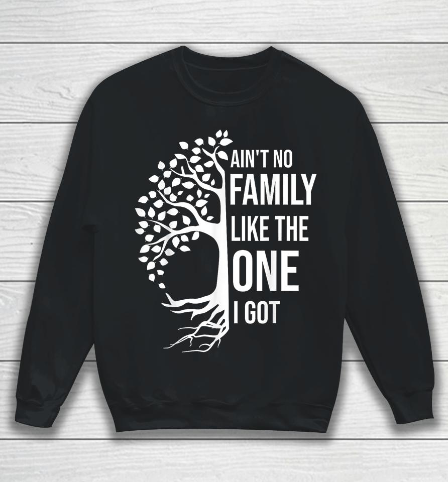 Ain't No Family Like The One I Got Sweatshirt