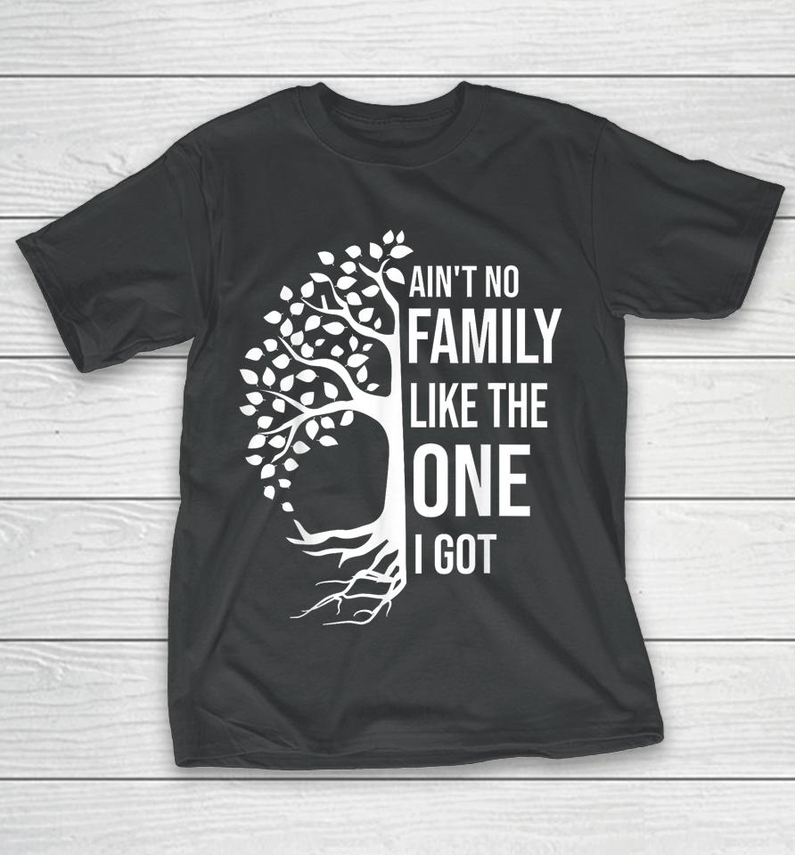 Ain't No Family Like The One I Got T-Shirt