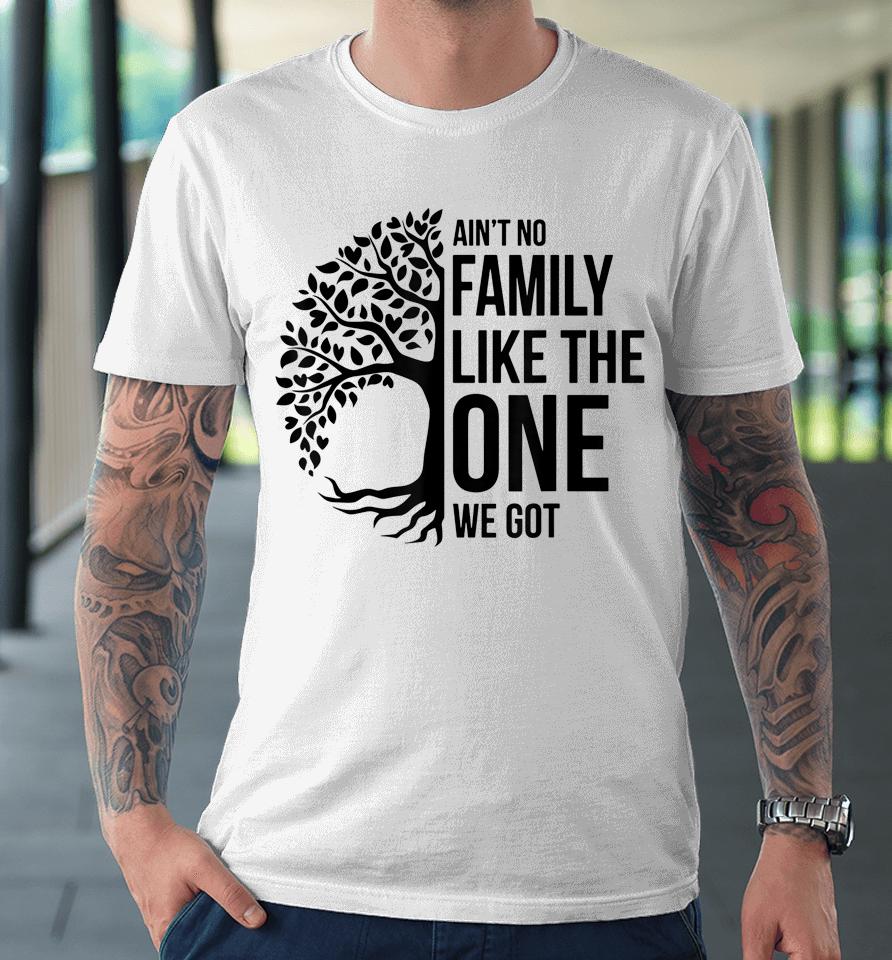 Ain't No Family Like The One We Got Funny Family Reunion Premium T-Shirt