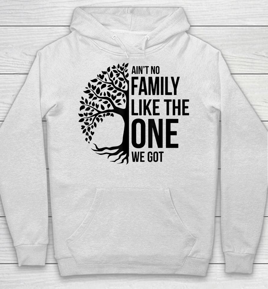 Ain't No Family Like The One We Got Funny Family Reunion Hoodie
