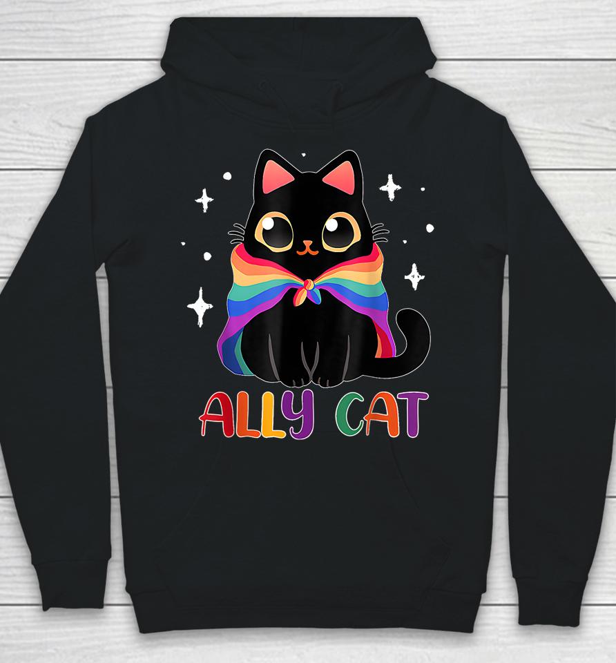 Ally Cat Lgbt Gay Rainbow Pride Flag Funny Cat Lover Hoodie