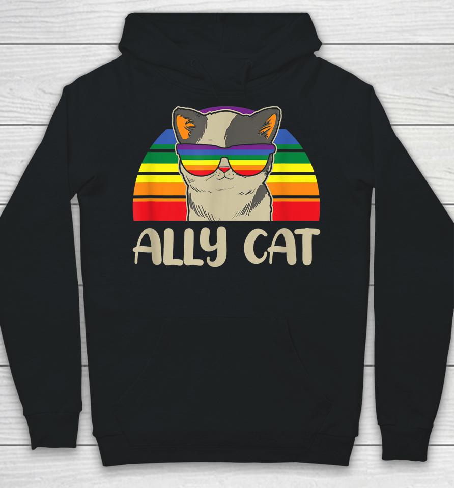 Ally Cat Lgbt Gay Rainbow Pride Flag Hoodie