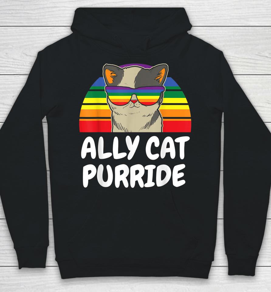 Ally Cat Purride Gay Lgbt Hoodie