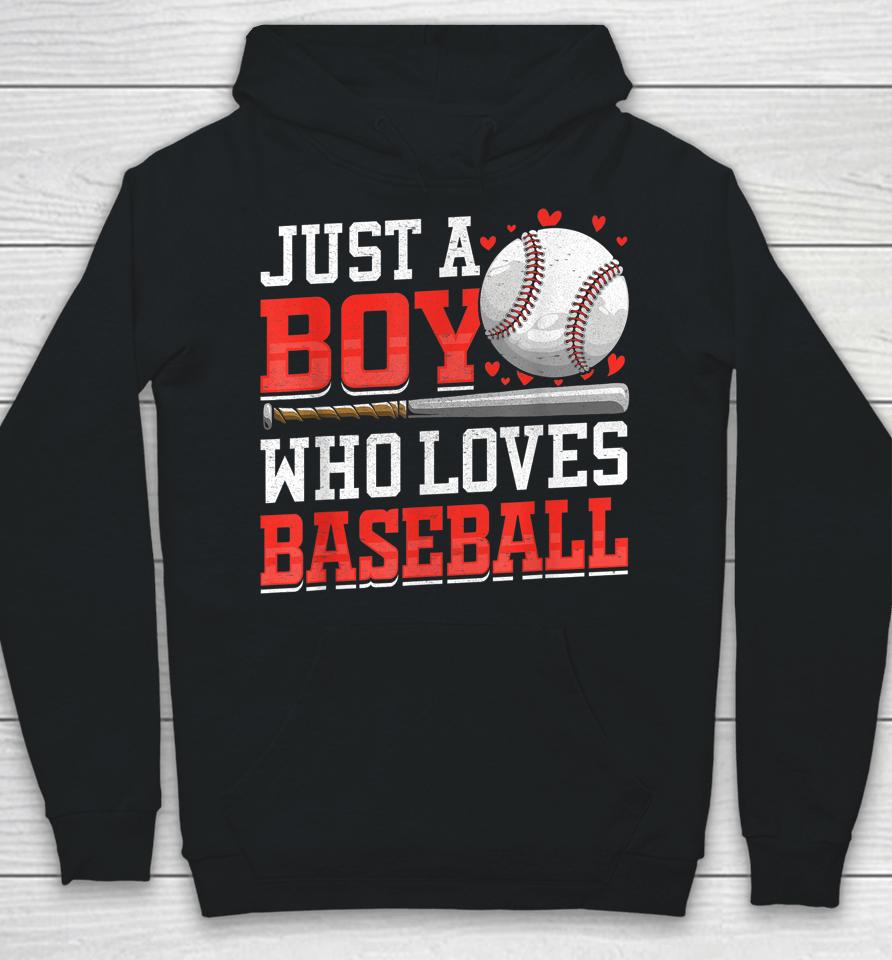 American Sport Just A Boy Who Loves Baseball Gifts For Boys Hoodie