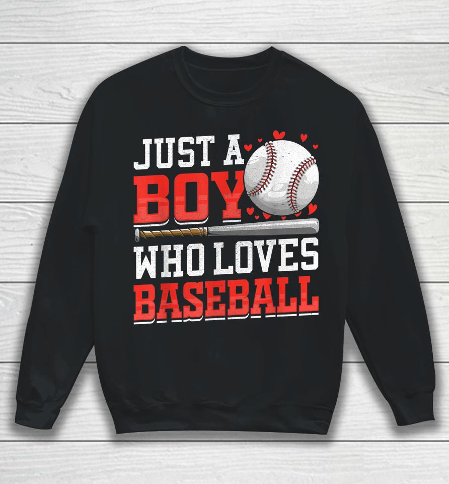 American Sport Just A Boy Who Loves Baseball Gifts For Boys Sweatshirt