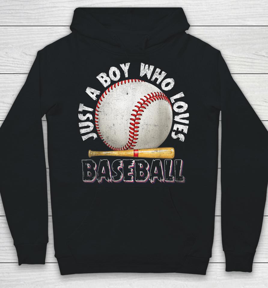 American Sport Just A Boy Who Loves Baseball Gifts For Boys Hoodie