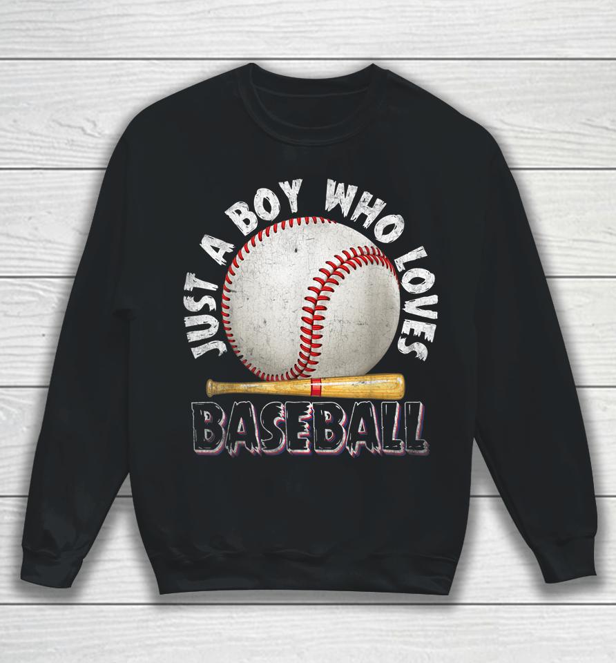American Sport Just A Boy Who Loves Baseball Gifts For Boys Sweatshirt