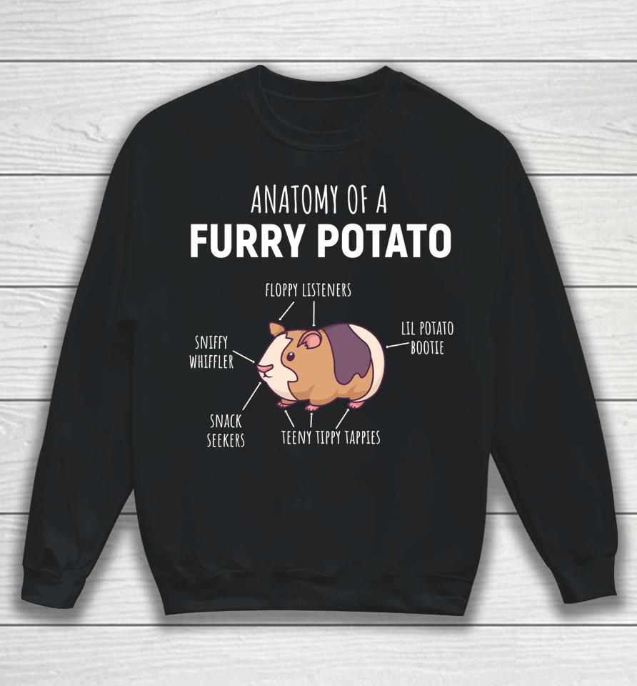 Anatomy Of A Furry Potato Guinea Pig Lover Gift Sweatshirt