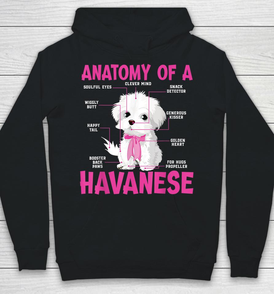 Anatomy Of A Havanese Hoodie