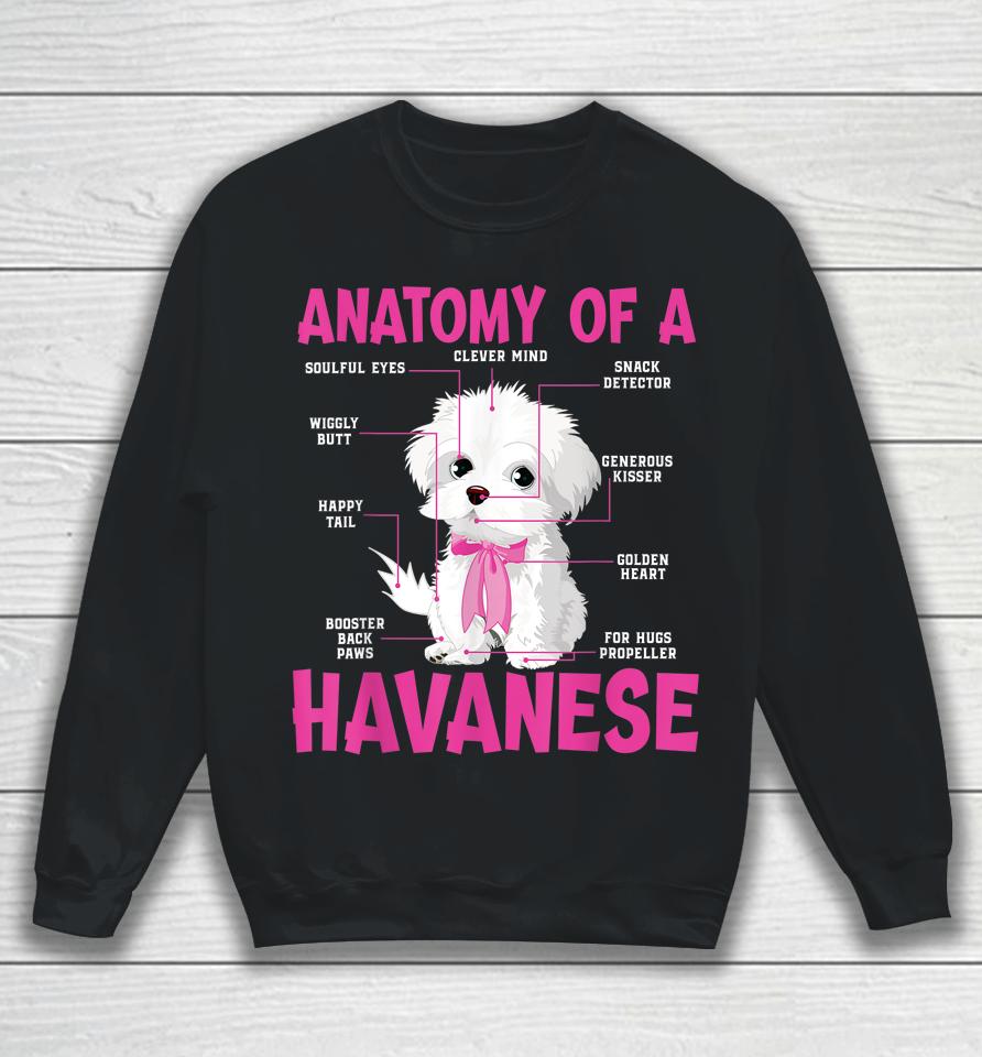 Anatomy Of A Havanese Sweatshirt