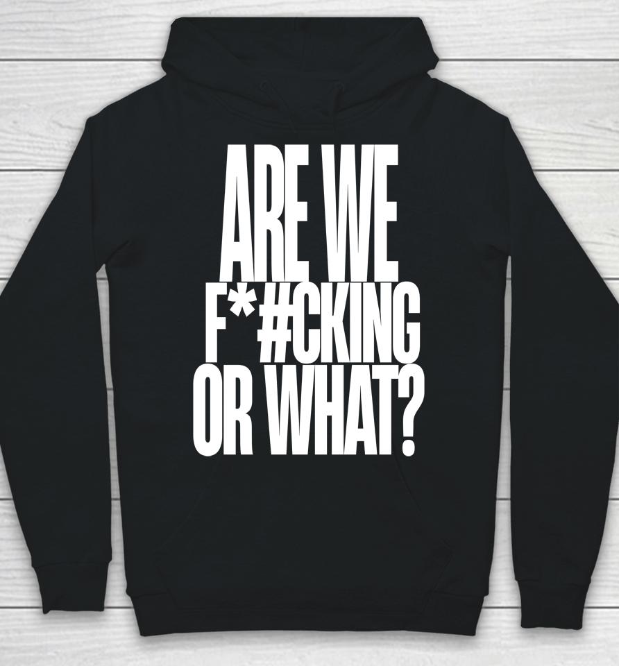Are We Fucking Or What Hoodie