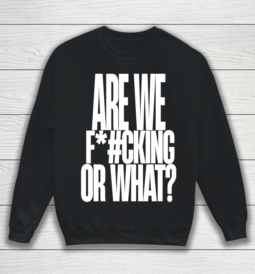 Are We Fucking Or What Sweatshirt