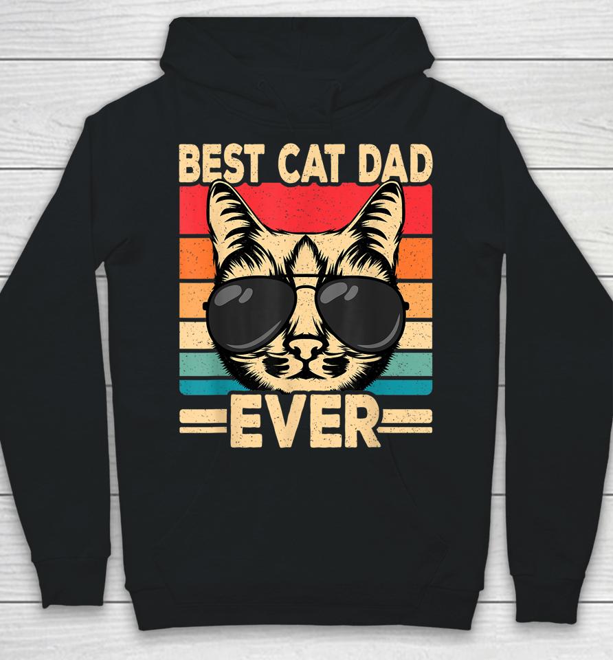 Best Cat Dad Ever Funny Cat Lover Retro Cat Hoodie