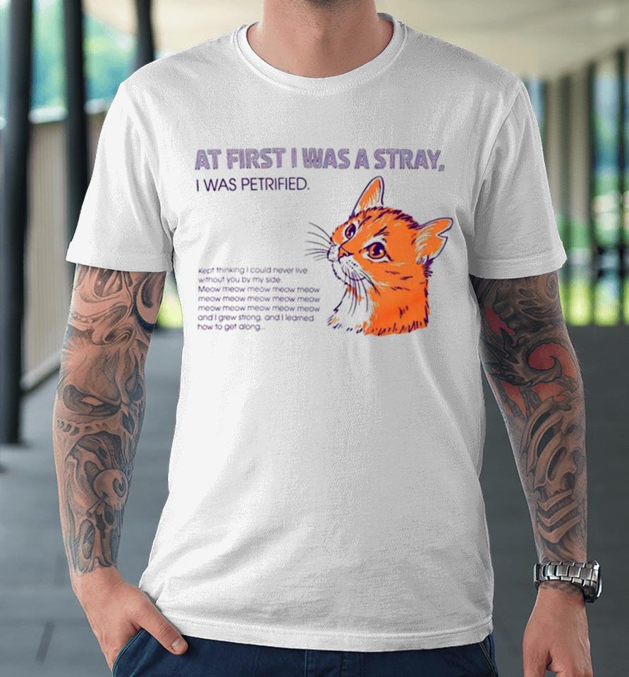 Cat At First I Was A Stray Premium T-Shirt