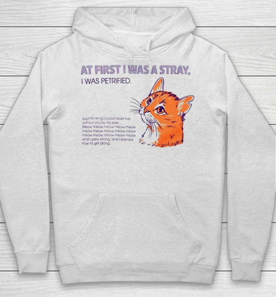 Cat At First I Was A Stray Hoodie