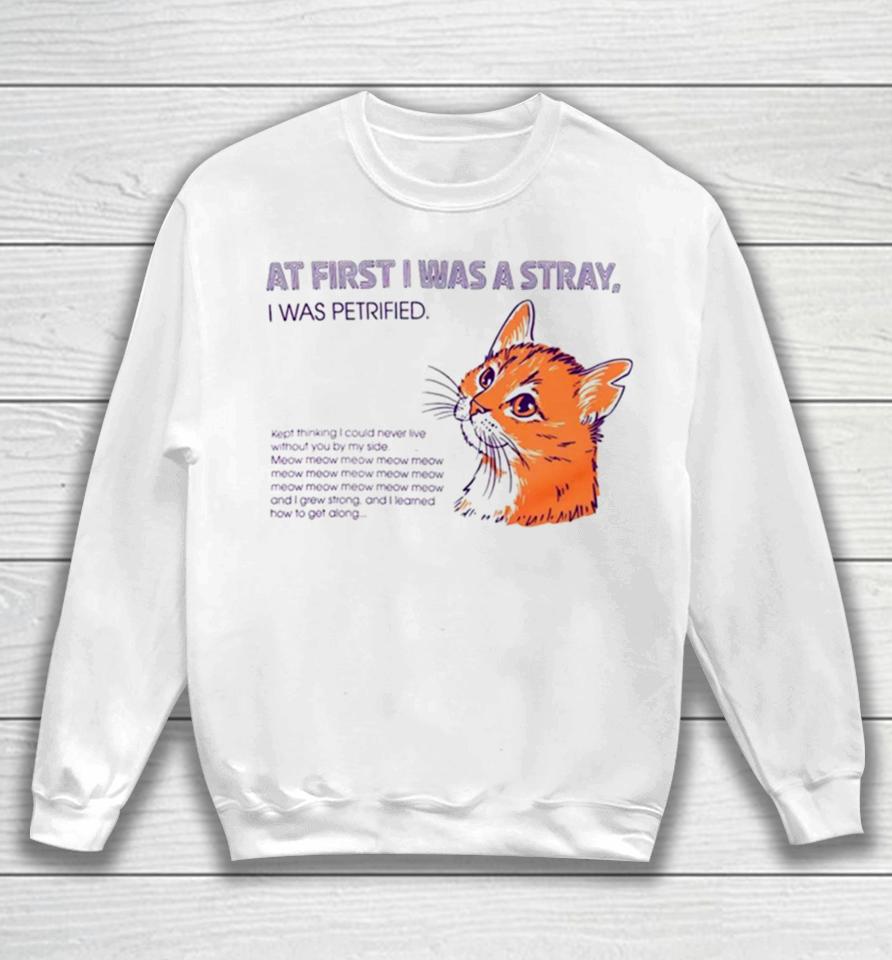 Cat At First I Was A Stray Sweatshirt