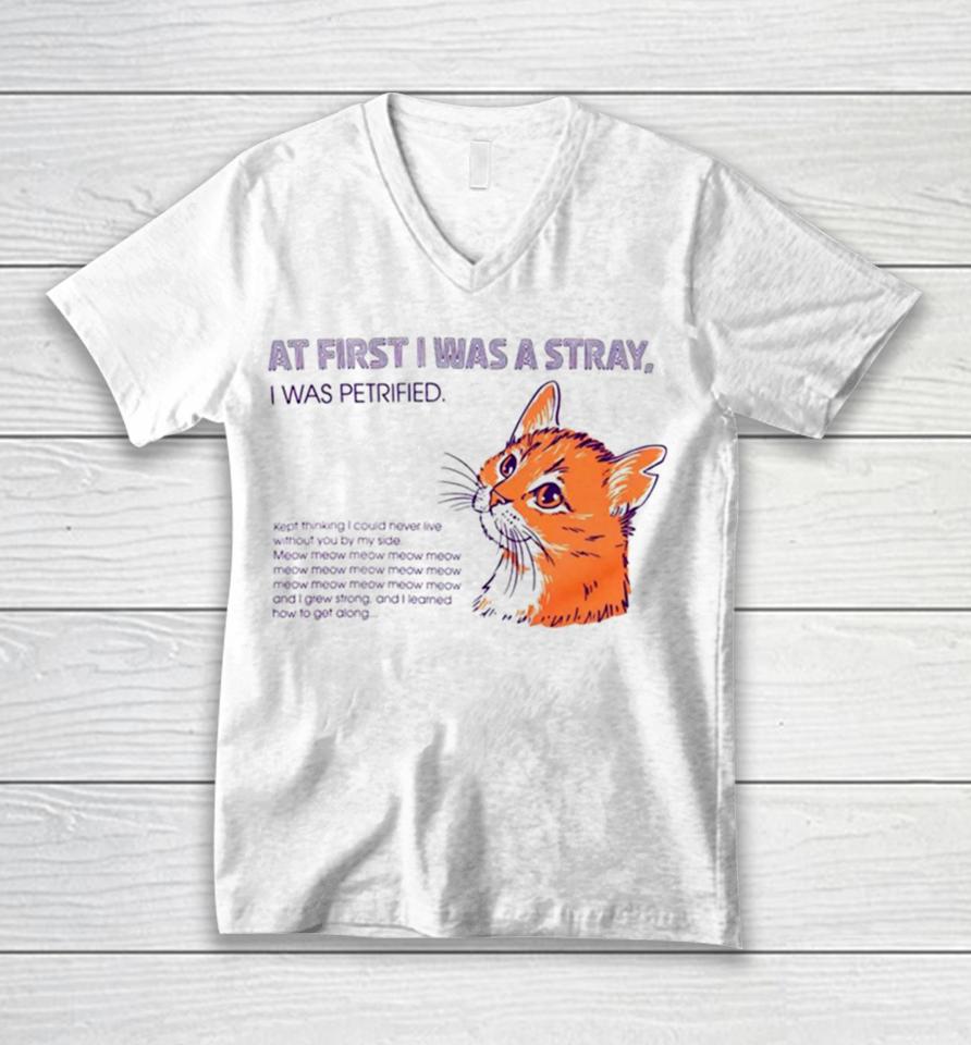 Cat At First I Was A Stray Unisex V-Neck T-Shirt
