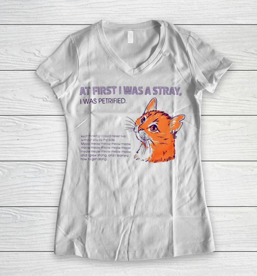 Cat At First I Was A Stray Women V-Neck T-Shirt