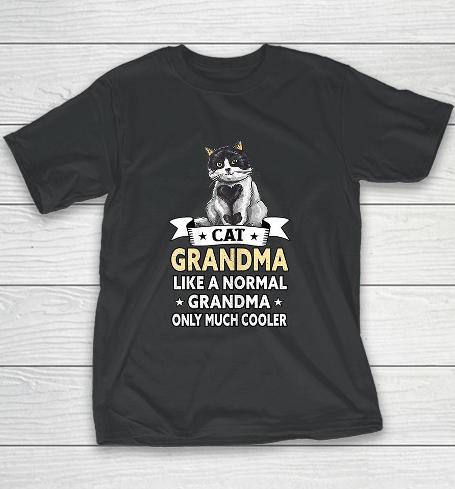 Cat Grandma Like A Normal Grandma Only Much Cooler Youth T-Shirt