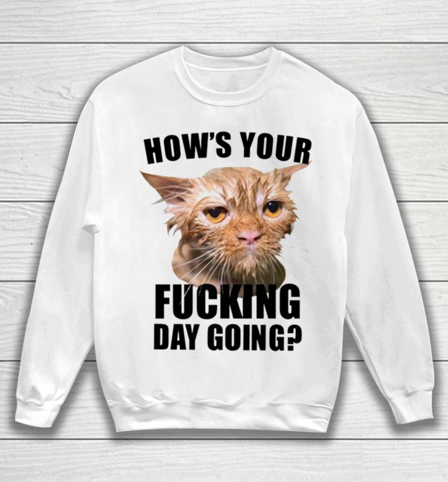 Cat Hows Your Fucking Day Going Sweatshirt