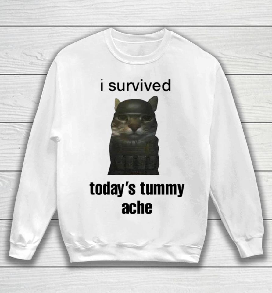 Cat I Survived Today’s Tummy Ache Sweatshirt