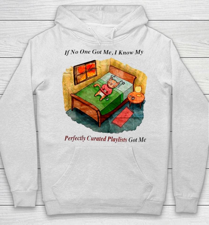 Cat If No One Got Me I Know My Perfectly Curated Playlists Got Me Hoodie