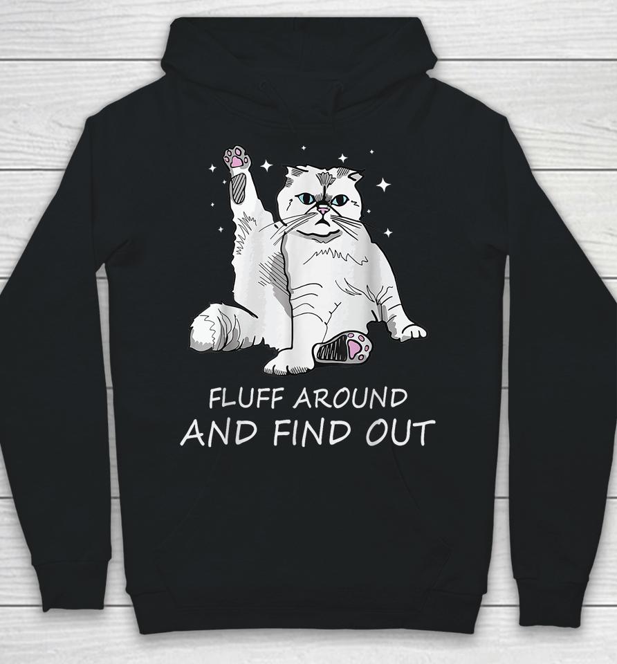 Cat Shirt Fluff Around And Find Out Hoodie