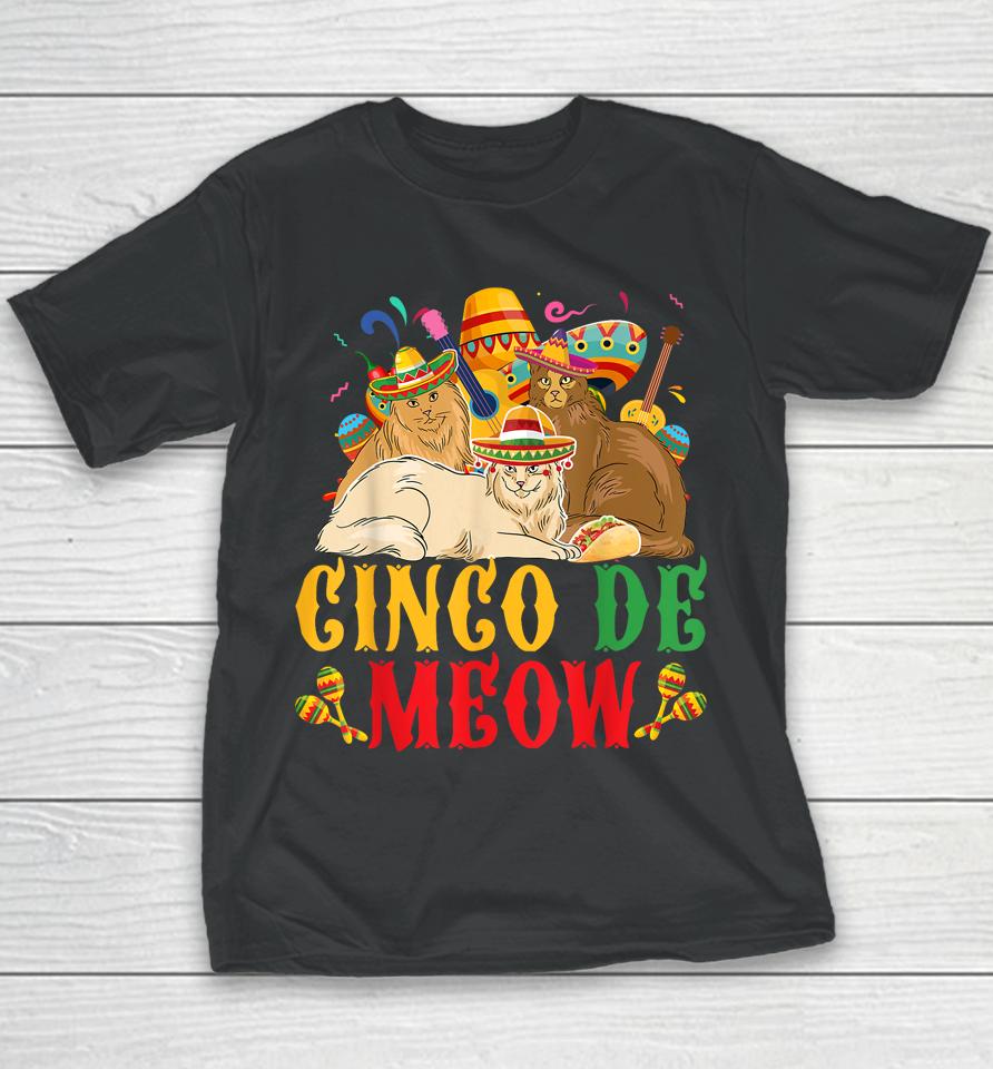 Cinco De Mayo Lets Fiesta Cinco De Meow Cats Kitty Kitten Youth T-Shirt