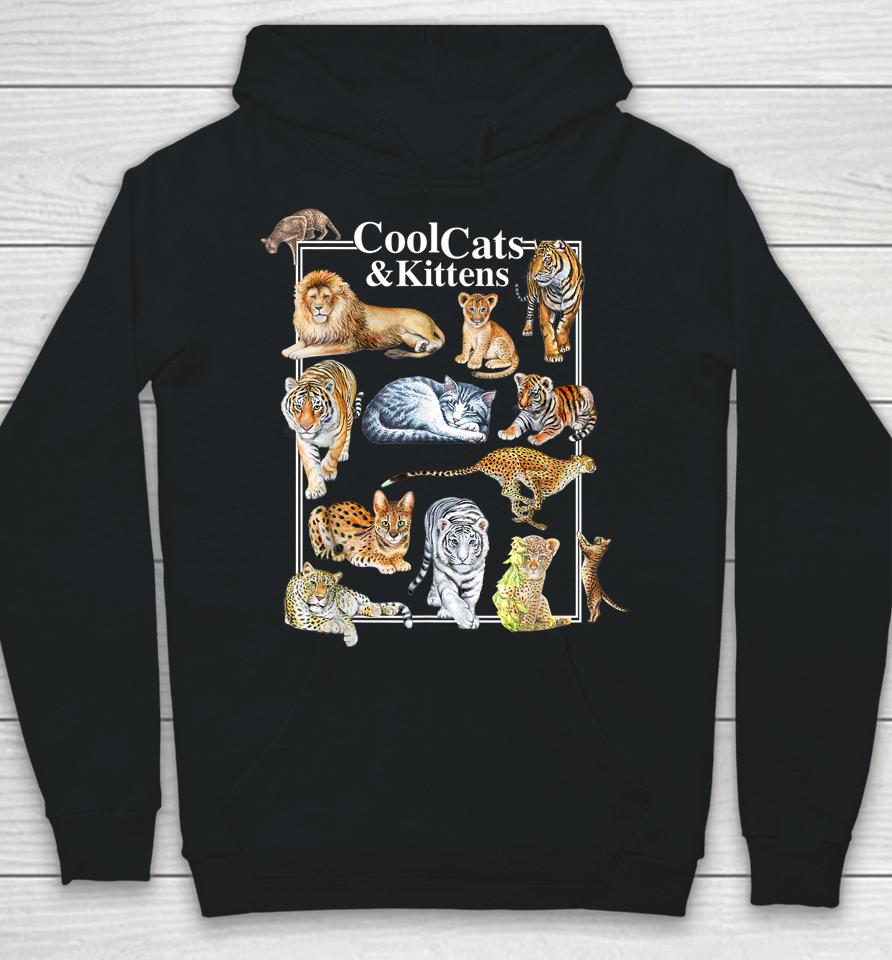 Cool Cats And Kittens Tiger Lion Leopard Felines Hoodie