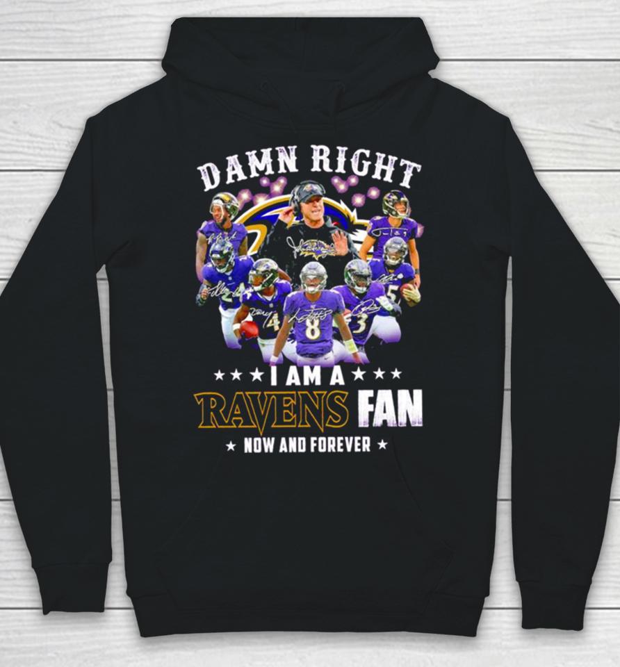 Damn Right I Am A Baltimore Ravens Fan Now And Forever 2023 2024 Road To Super Bowl Signatures Hoodie