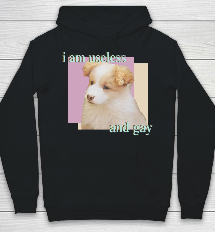 Dogecore Store I Am Useless And Gay Hoodie