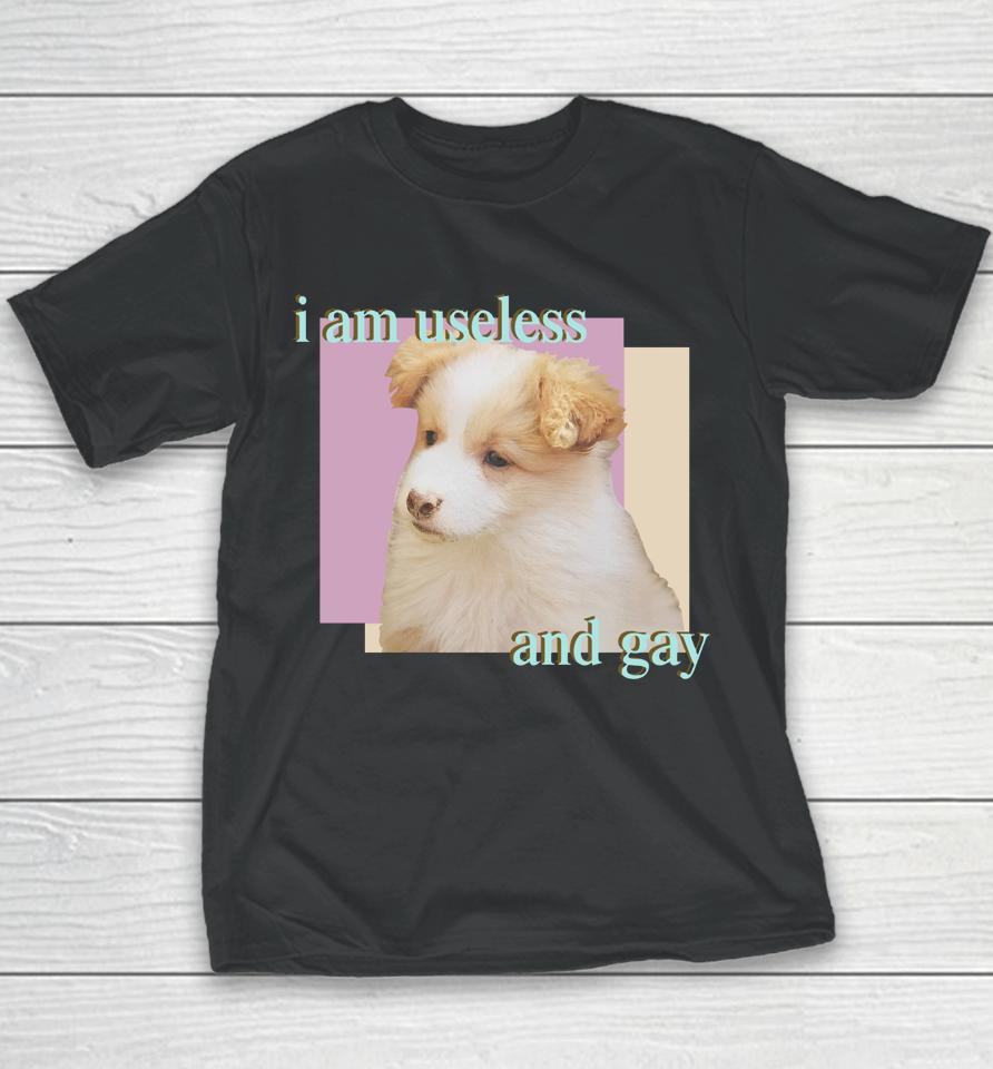 Dogecore Store I Am Useless And Gay Youth T-Shirt