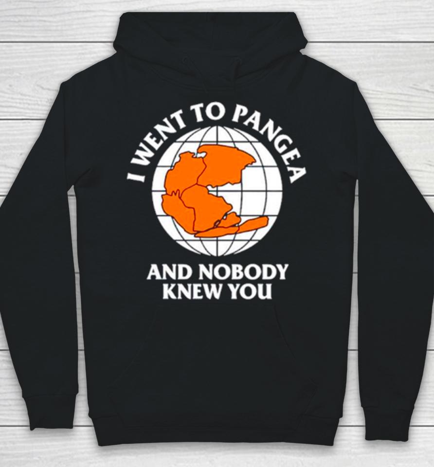 Earth I Went To Pangea And Nobody Knew You Hoodie