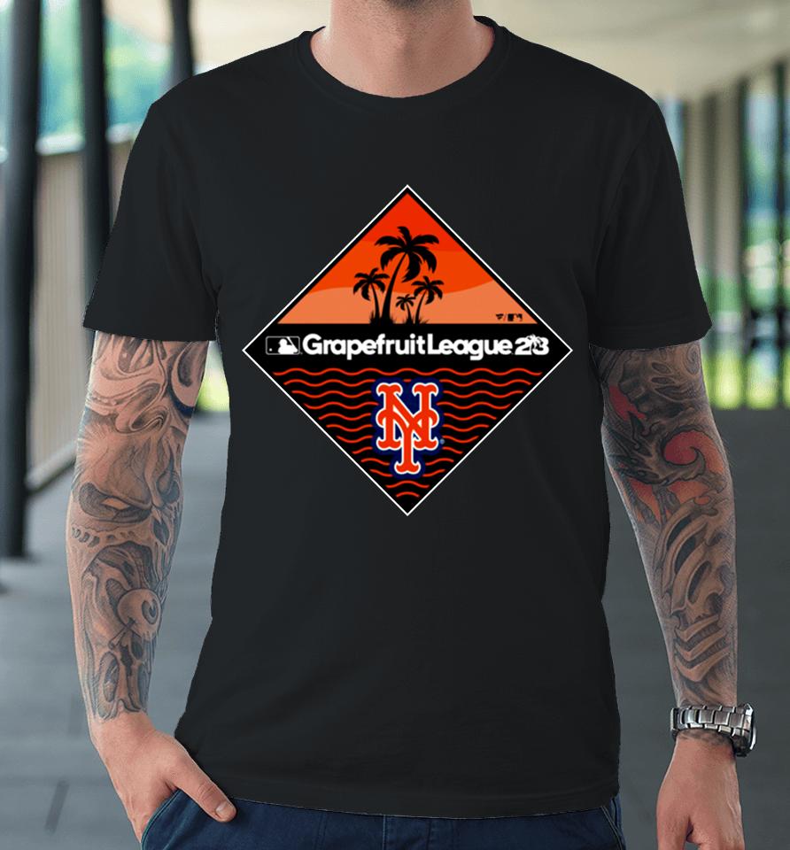 Fanatics Branded Royal New York Mets 2023 Mlb Spring Training Diamond Premium T-Shirt